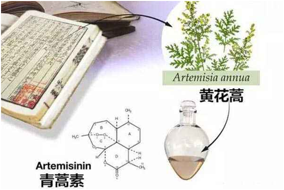 安博官网,安博（中国）：向中医药看齐，与世界共享中医药文化(图1)